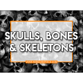 Skulls, Bones & Skeletons