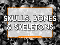Skulls, Bones & Skeletons